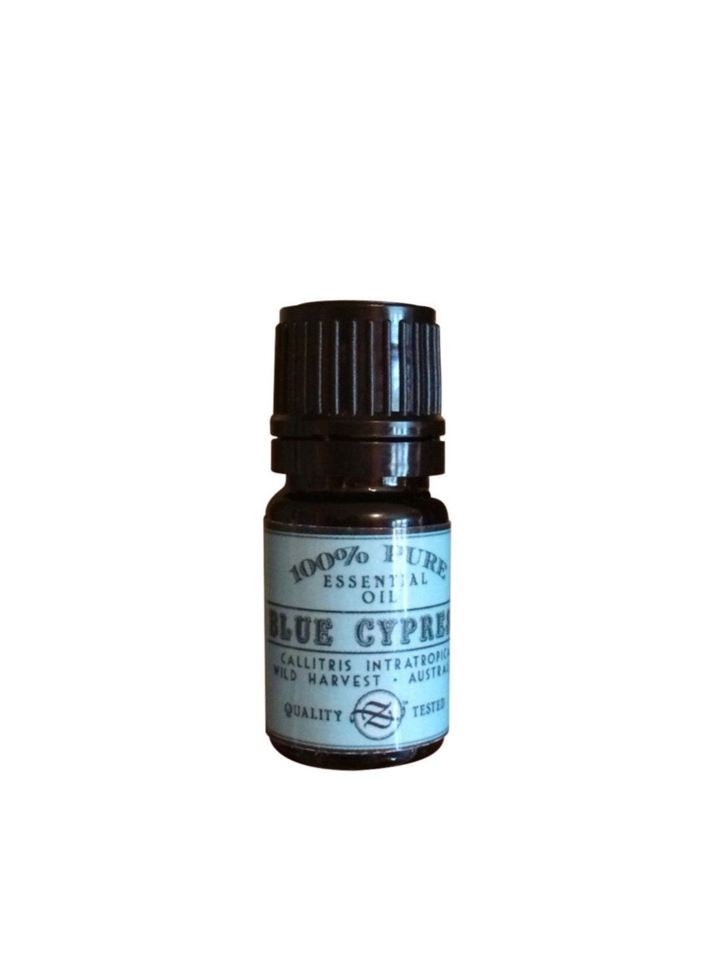 Blue Cypress Essential Oil, Callitris intratropica, Wild Harvest, Australia