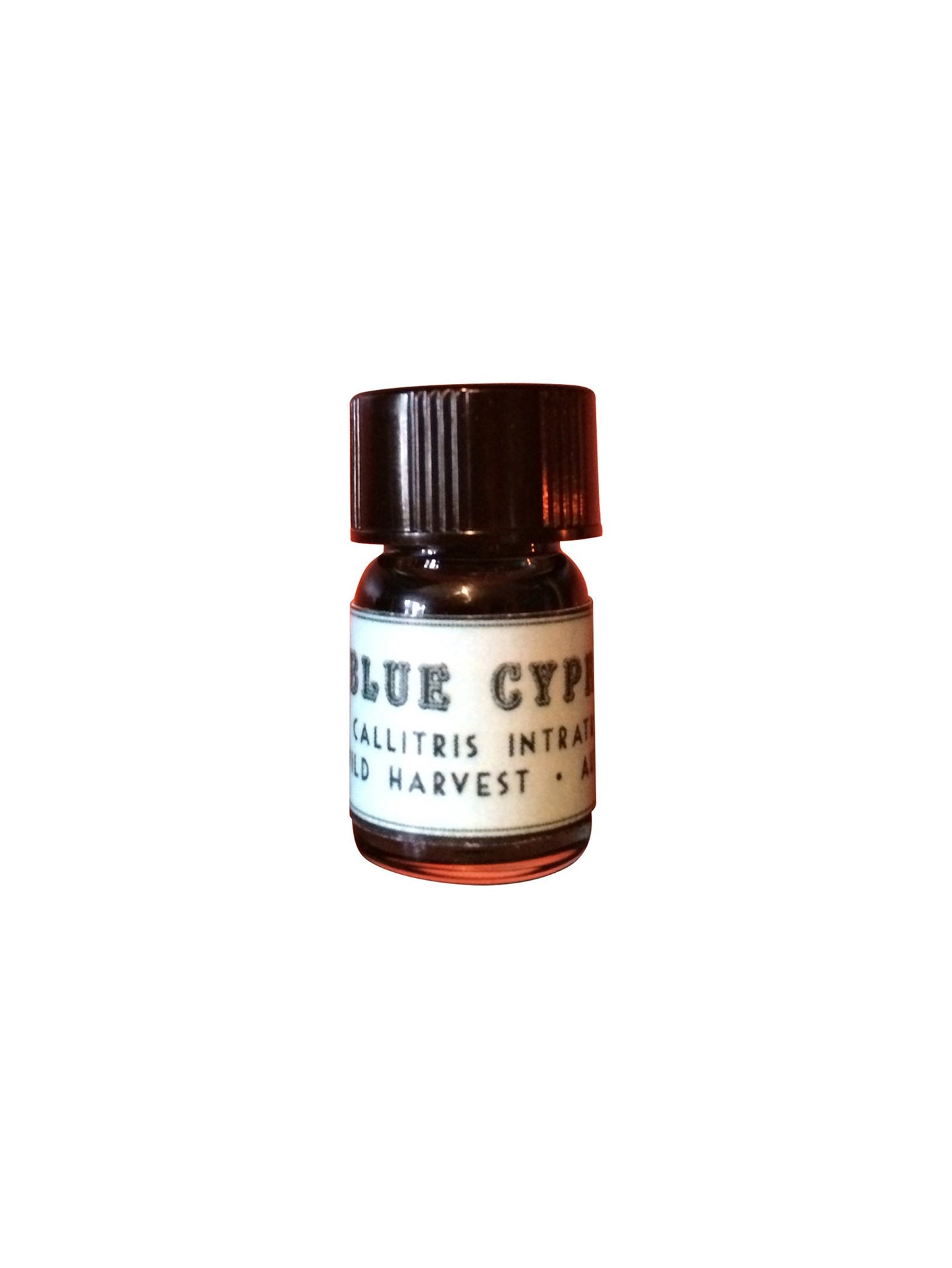 Blue Cypress Essential Oil, Callitris intratropica, Wild Harvest, Australia