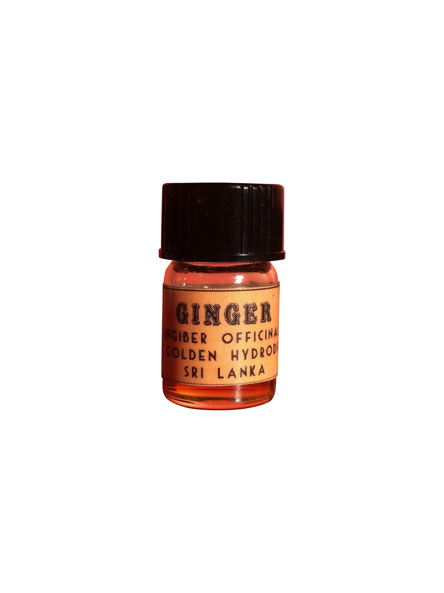 Ginger Essential Oil, Zingiber officinale, Fresh Golden Hydrodiffused, Sri Lanka