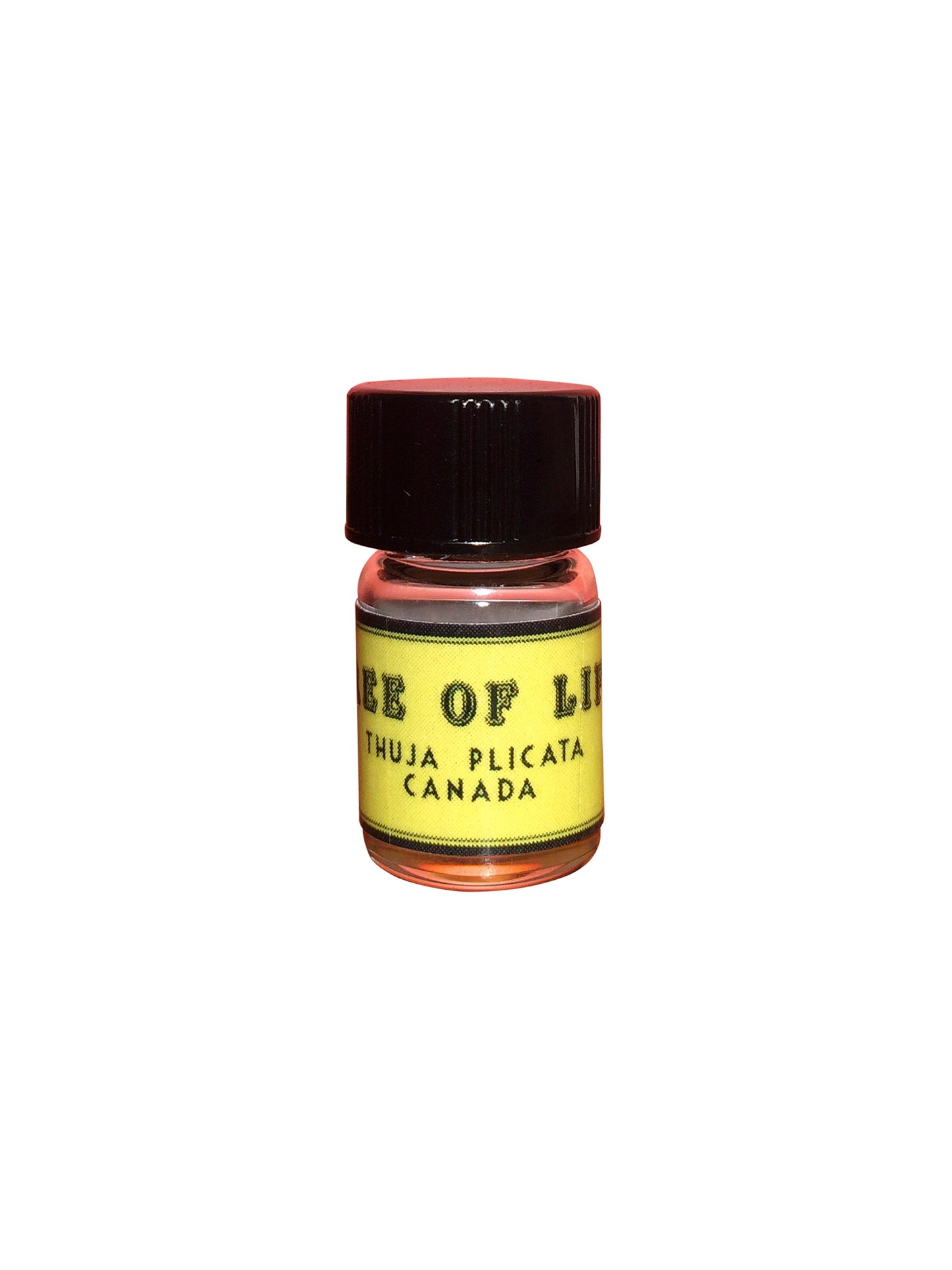 Tree of Life (Giant Arborvitae) Essential Oil, Thuja plicata, Canada