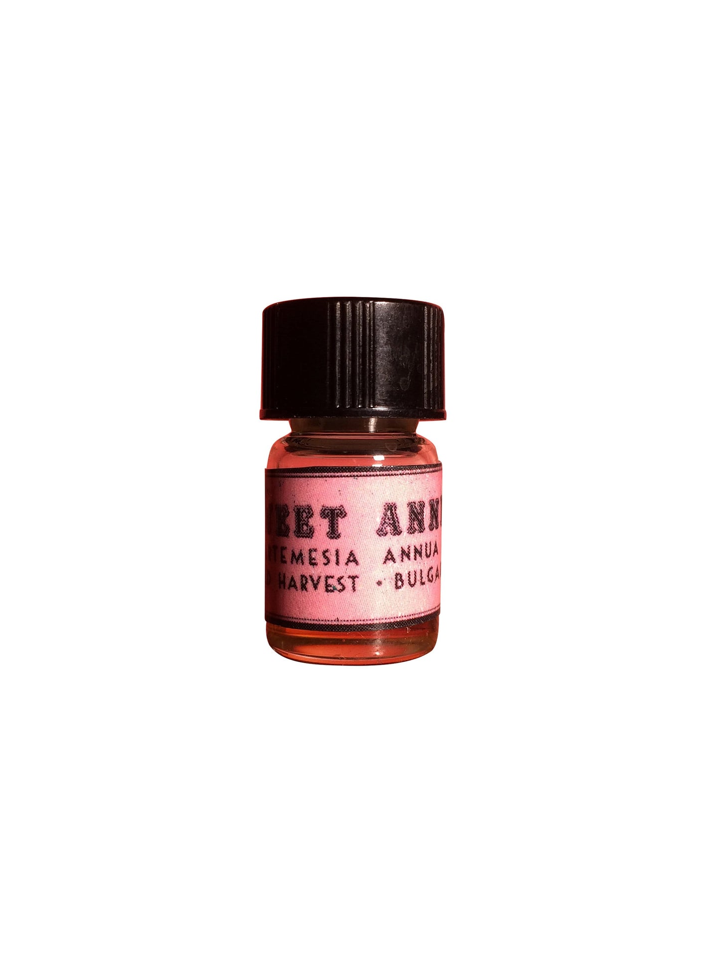 Sweet Annie (Sweet Wormwood) Essential Oil, Artemisia annua, Bulgaria