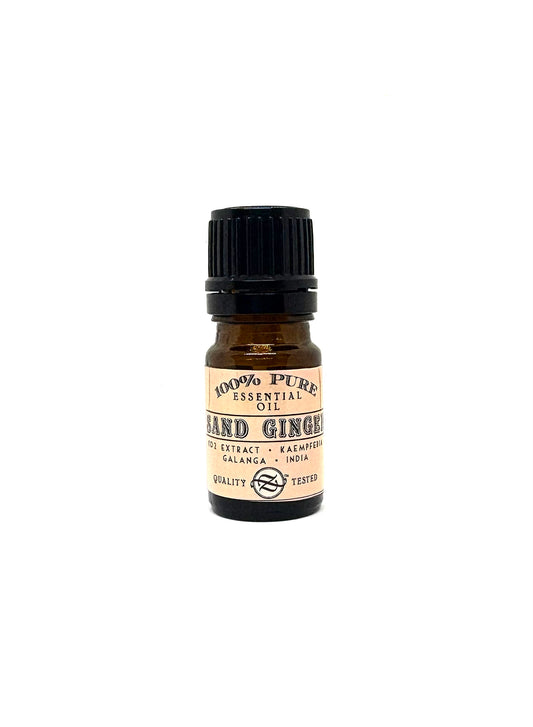 Sand Ginger CO2 Extract, Kaempferia galanga, India