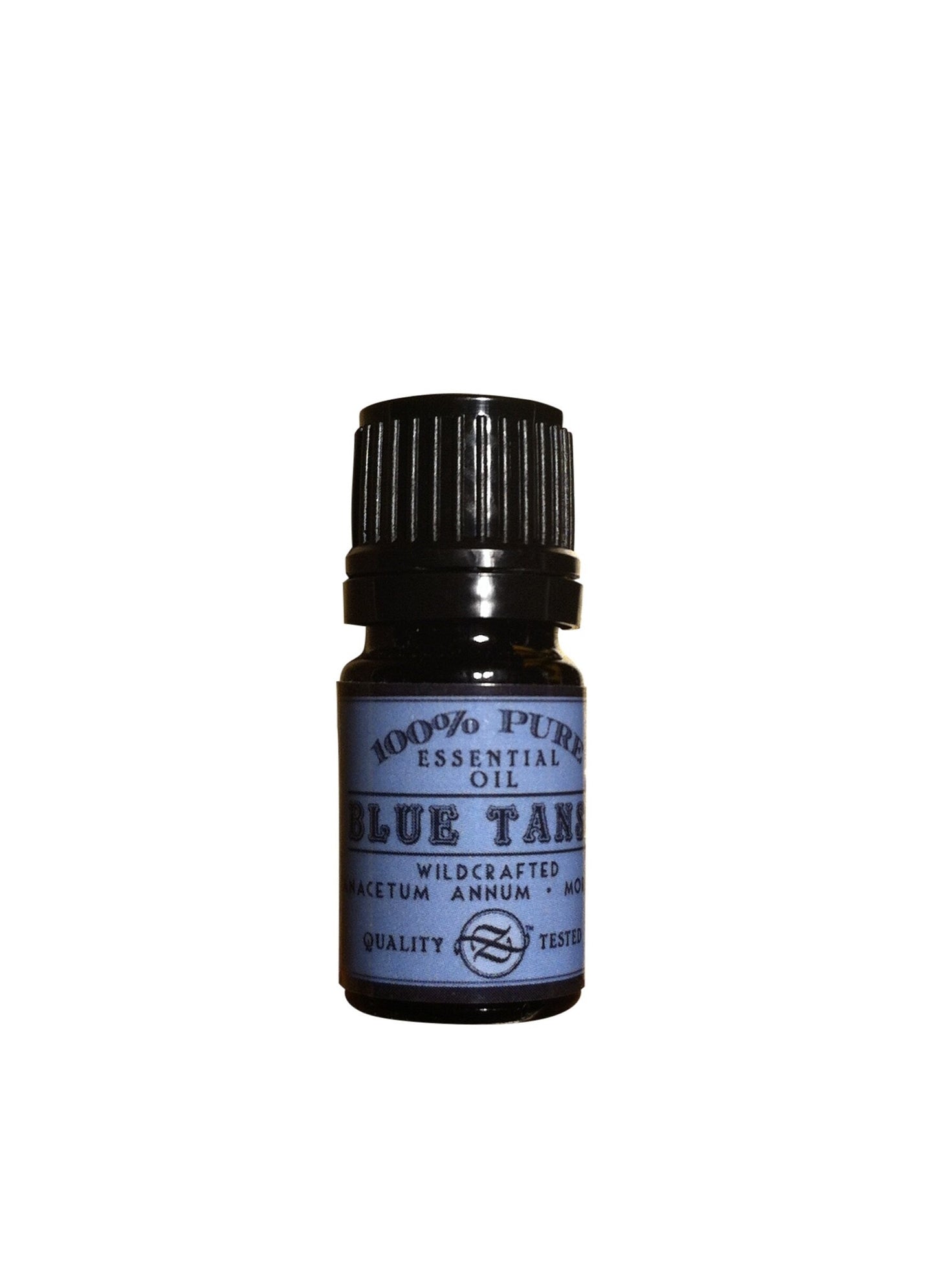 Blue Tansy Essential Oil, Wildcrafted, Tanacetum annum, Morocco